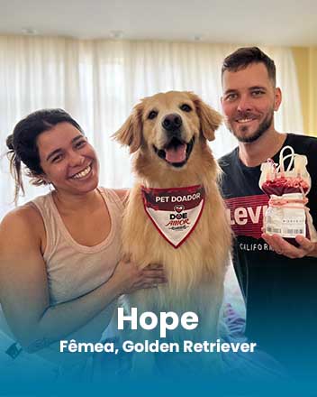carrossel_0000_Hope, Fêmea, Golden Retriever