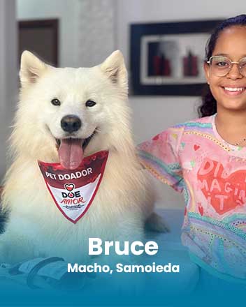 carrossel_0002_Bruce, Macho, Samoieda