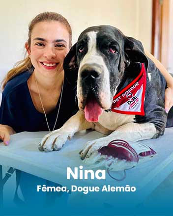 carrossel_0005_Nina, Fêmea, Dogue Alemão