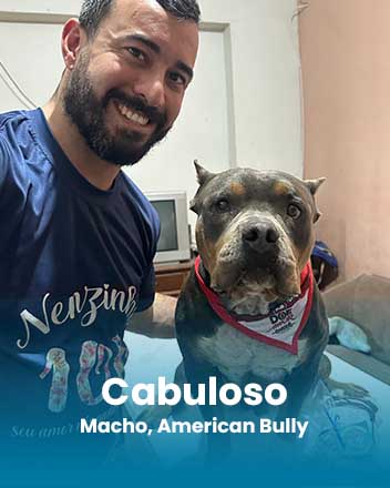 carrossel_0008_Cabuloso, Macho, American Bully