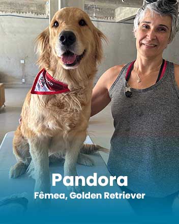 carrossel_0009_Pandora, Fêmea, Golden Retriever