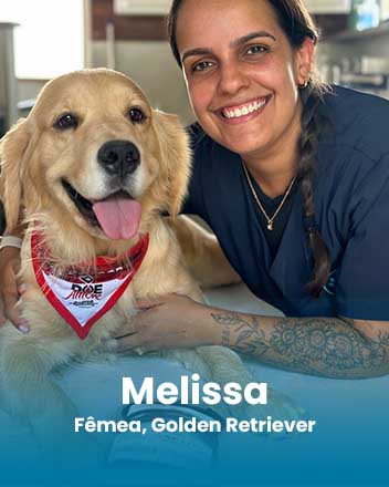 carrossel_0011_Melissa, Fêmea, Golden Retriever