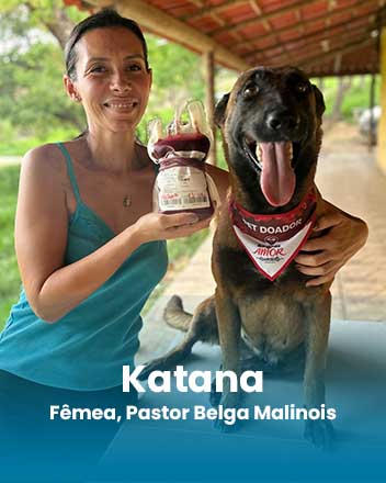 carrossel_0016_Katana