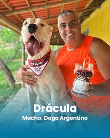 carrossel_0017_Dracula