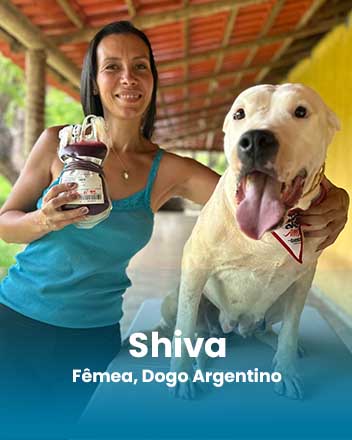 carrossel_0018_Shiva