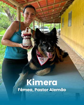 carrossel_0019_Kimera