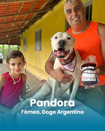 carrossel_0020_Pandora