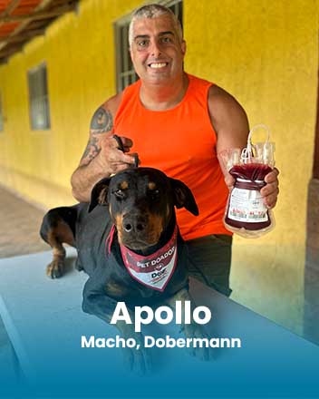 carrossel_0021_Apollo